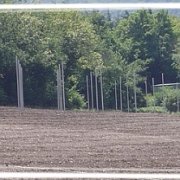 bonifiche agrarie (9)